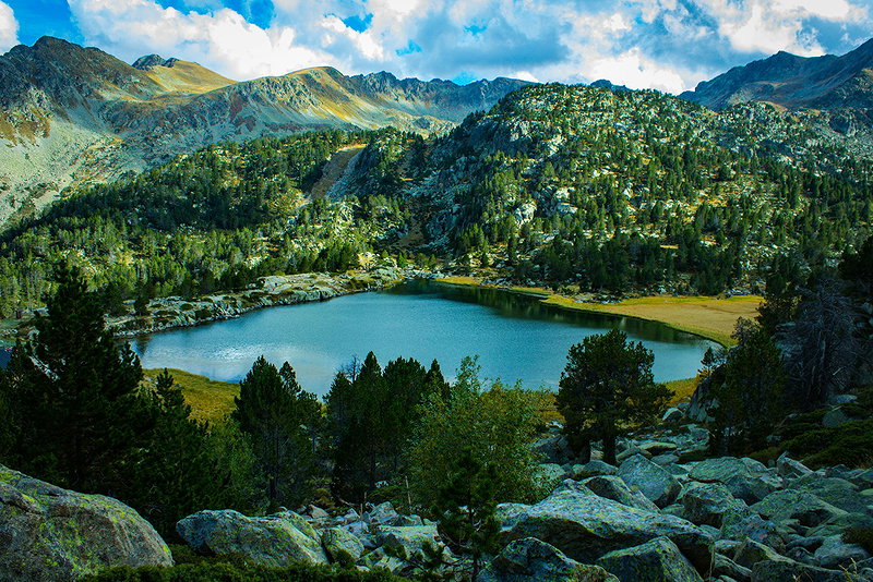 Header background