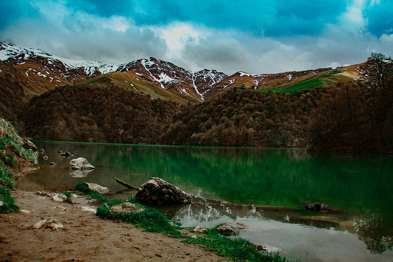 Header background