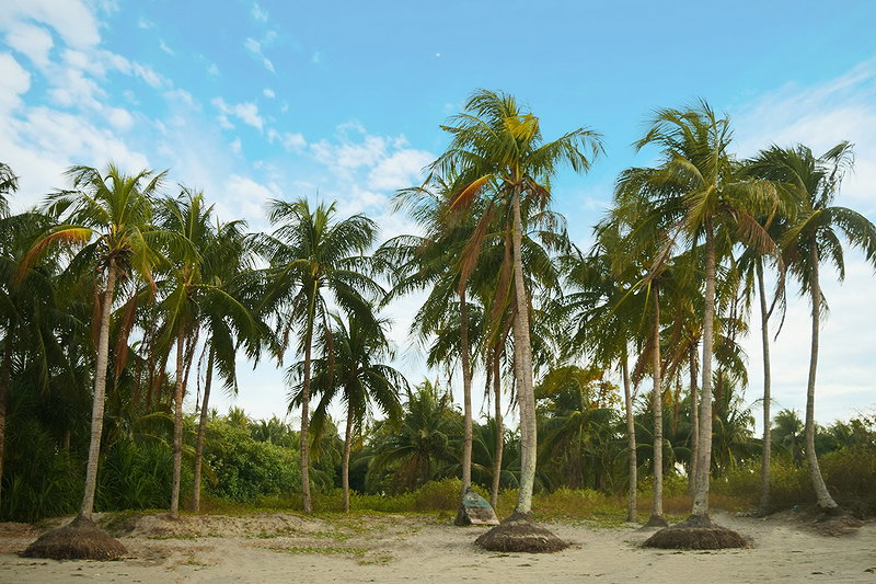 Header background