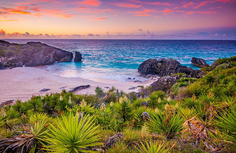 Header background