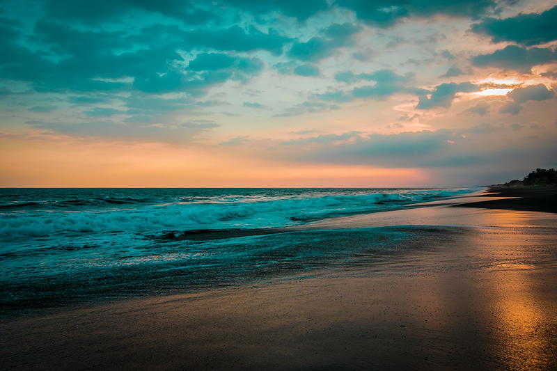 Header background