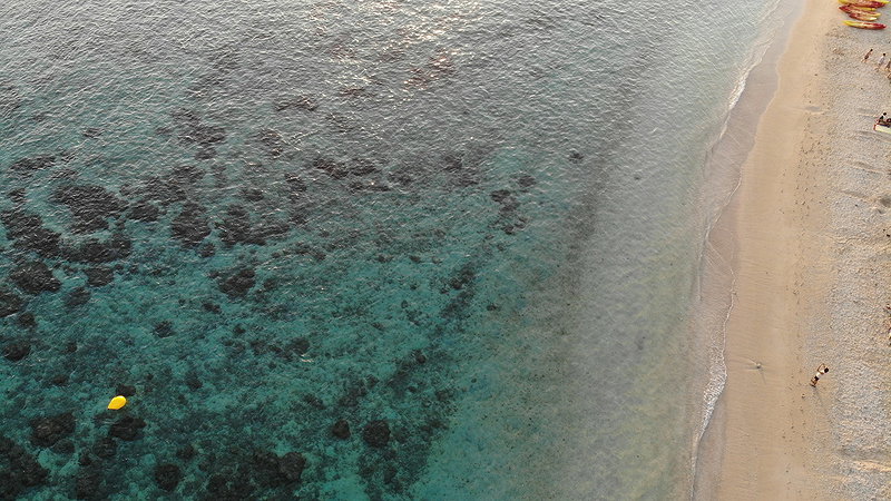 Header background