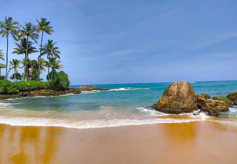 Header background