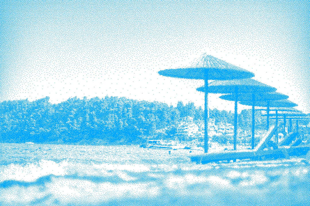 Beach umbrellas on a sunny shore