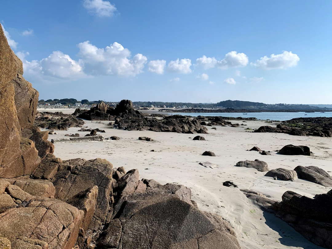 Guernsey