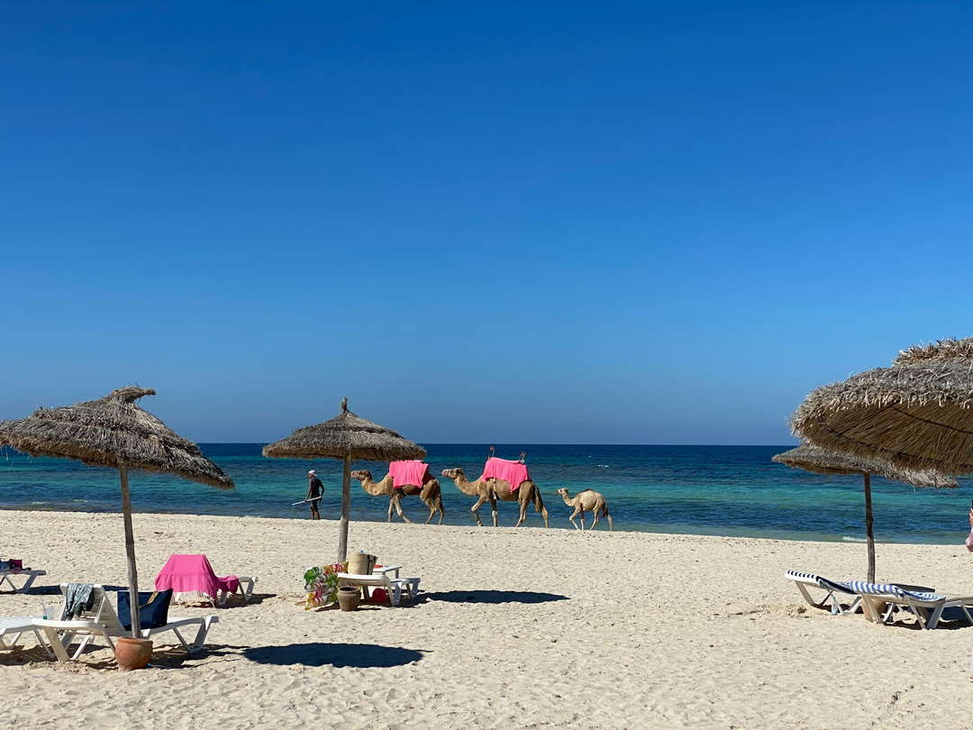 Tunisia